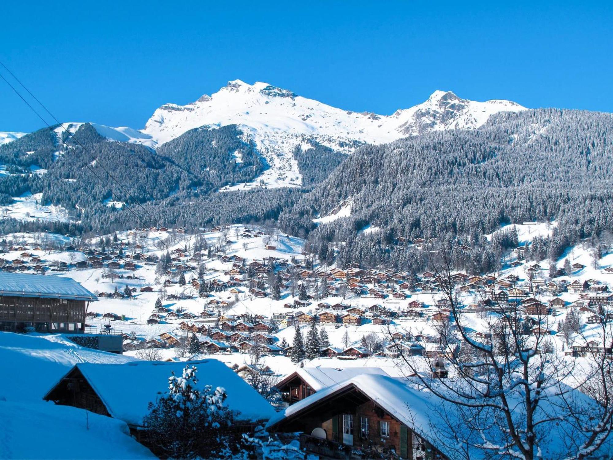 Apartment Auf dem Vogelstein.2 Grindelwald Exterior foto