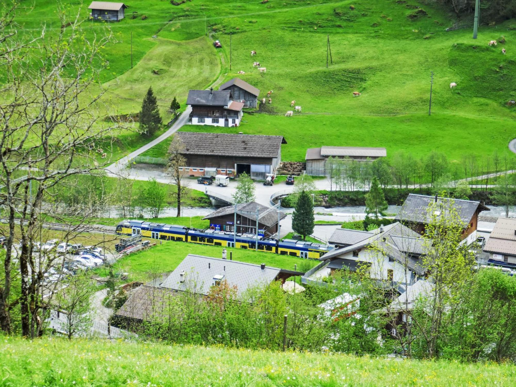 Apartment Auf dem Vogelstein.2 Grindelwald Exterior foto