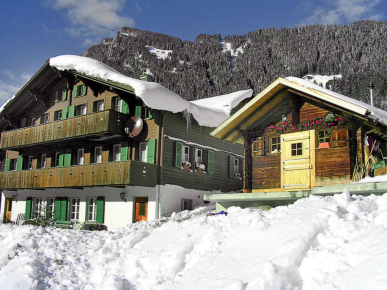 Apartment Auf dem Vogelstein.2 Grindelwald Exterior foto