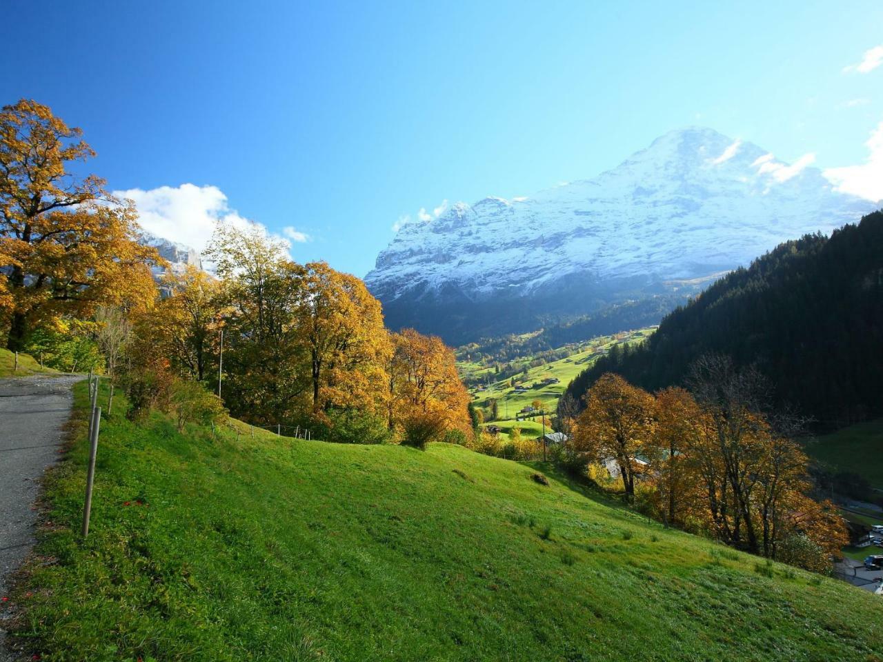 Apartment Auf dem Vogelstein.2 Grindelwald Exterior foto